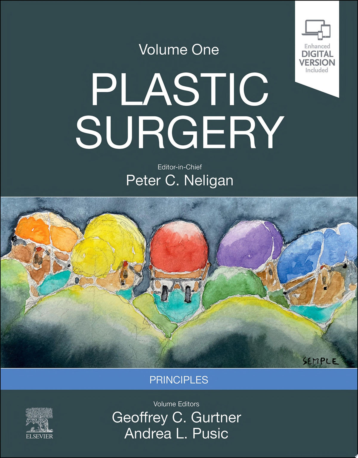 Plastic Surgery: Volume 1: Principles 5th Edition